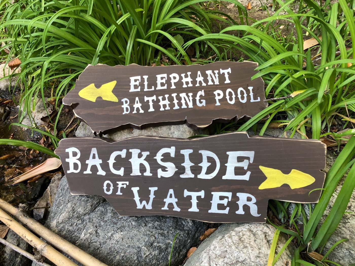 Cruising the Jungle Backside Elephant Directional Signs