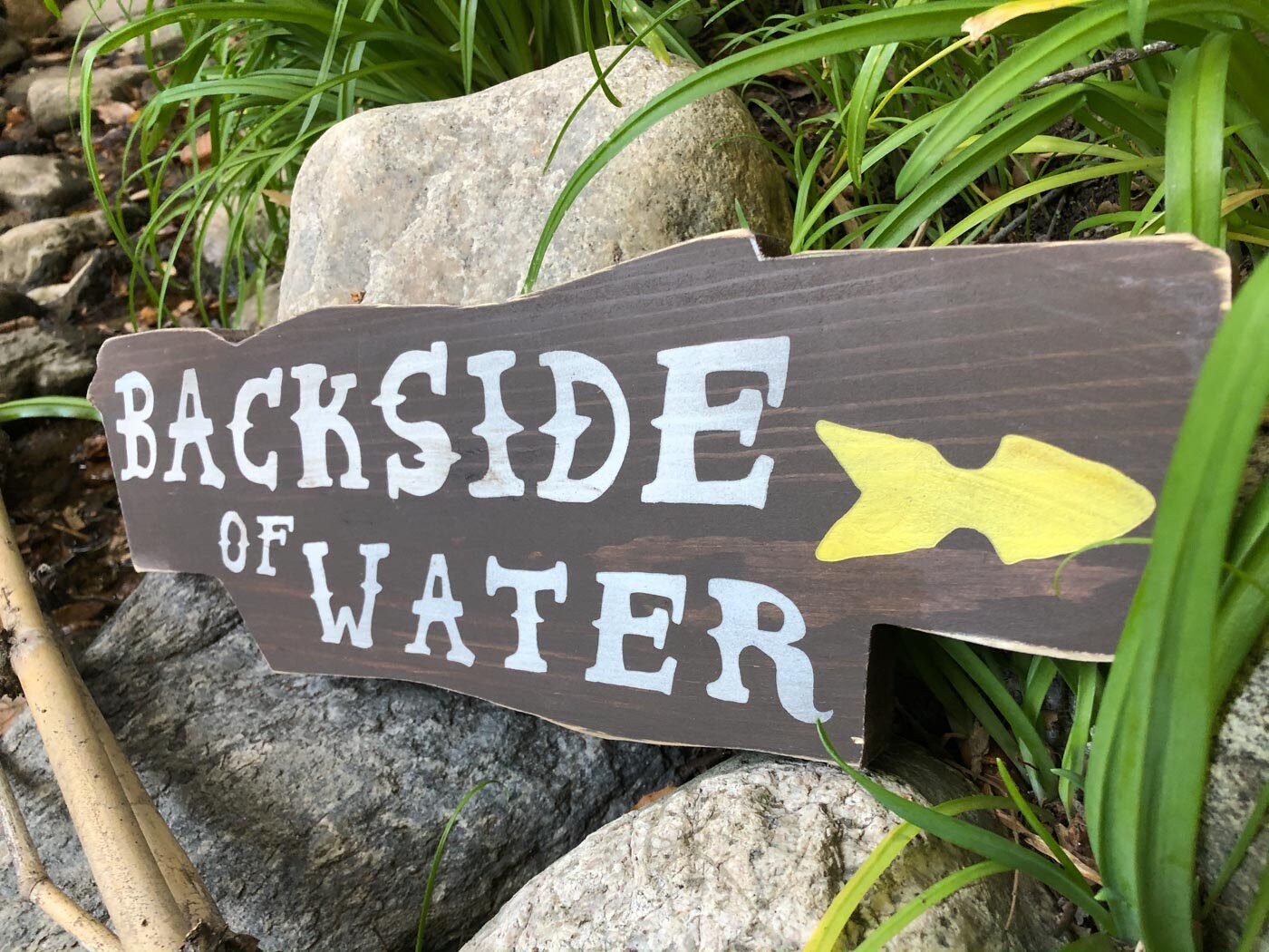 Cruising the Jungle Backside Elephant Directional Signs