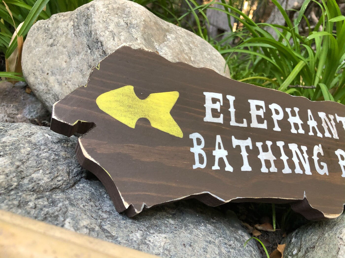 Cruising the Jungle Backside Elephant Directional Signs
