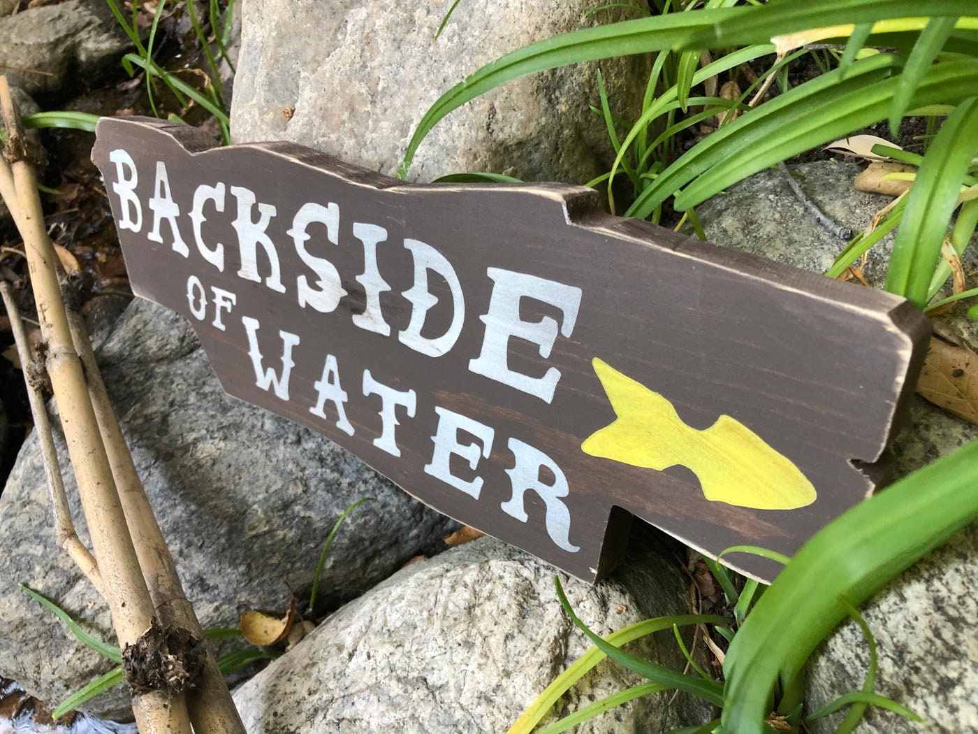 Cruising the Jungle Backside Elephant Directional Signs