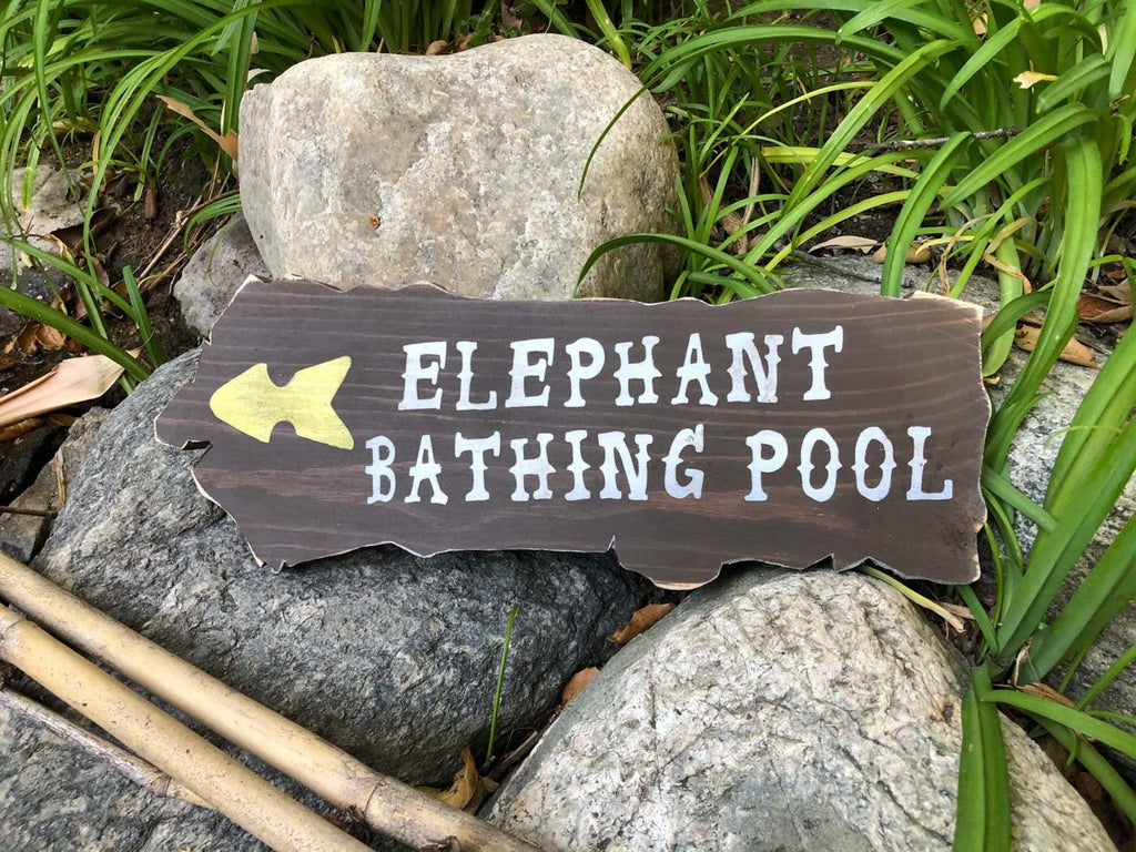 Cruising the Jungle Backside Elephant Directional Signs