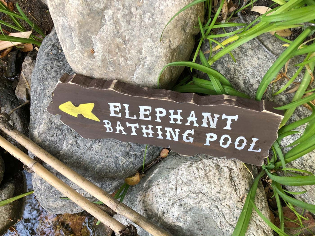 Cruising the Jungle Backside Elephant Directional Signs