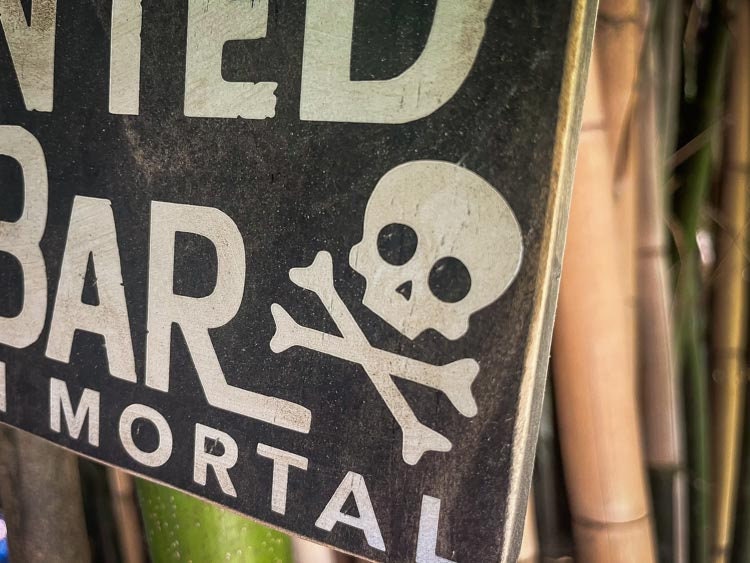 Welcome to our Haunted Tiki Bar