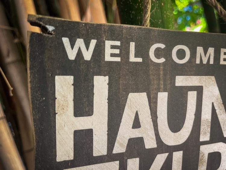 Welcome to our Haunted Tiki Bar